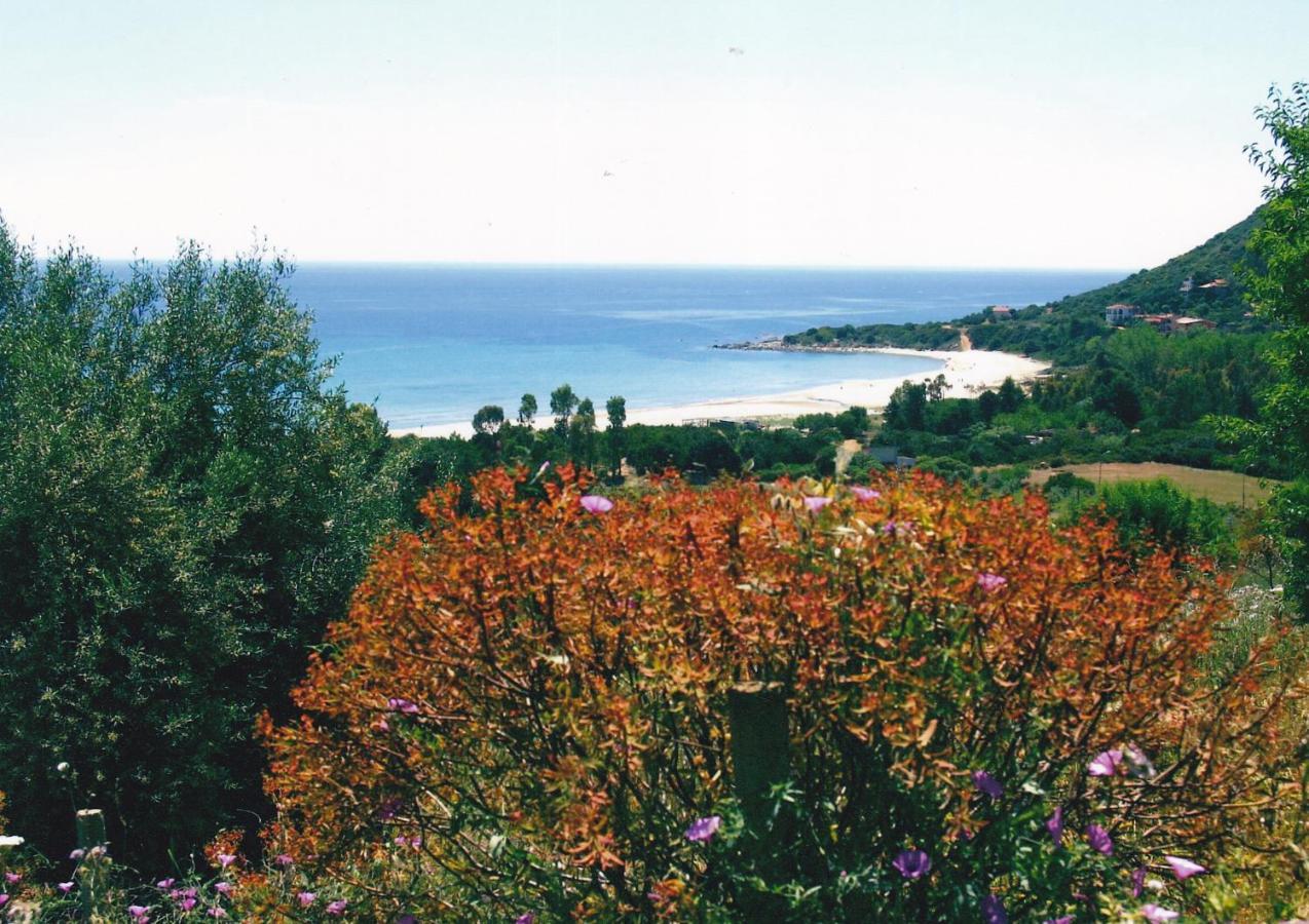Casa Vacanza Lentisco D Sardegna Ogliastra Tertenìa Exterior foto